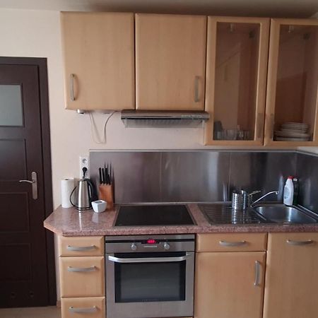Apartament Czarny Potok クリニツァ・ズドルイ エクステリア 写真