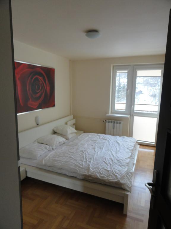 Apartament Czarny Potok クリニツァ・ズドルイ 部屋 写真
