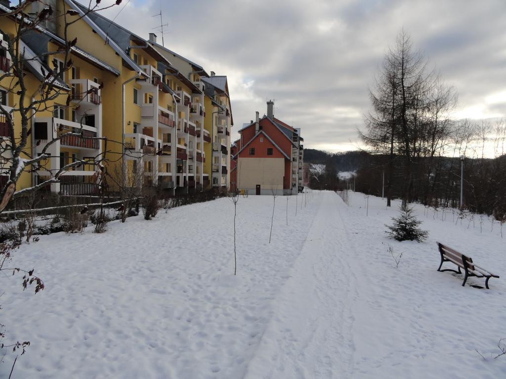 Apartament Czarny Potok クリニツァ・ズドルイ 部屋 写真
