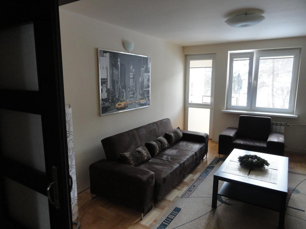 Apartament Czarny Potok クリニツァ・ズドルイ 部屋 写真
