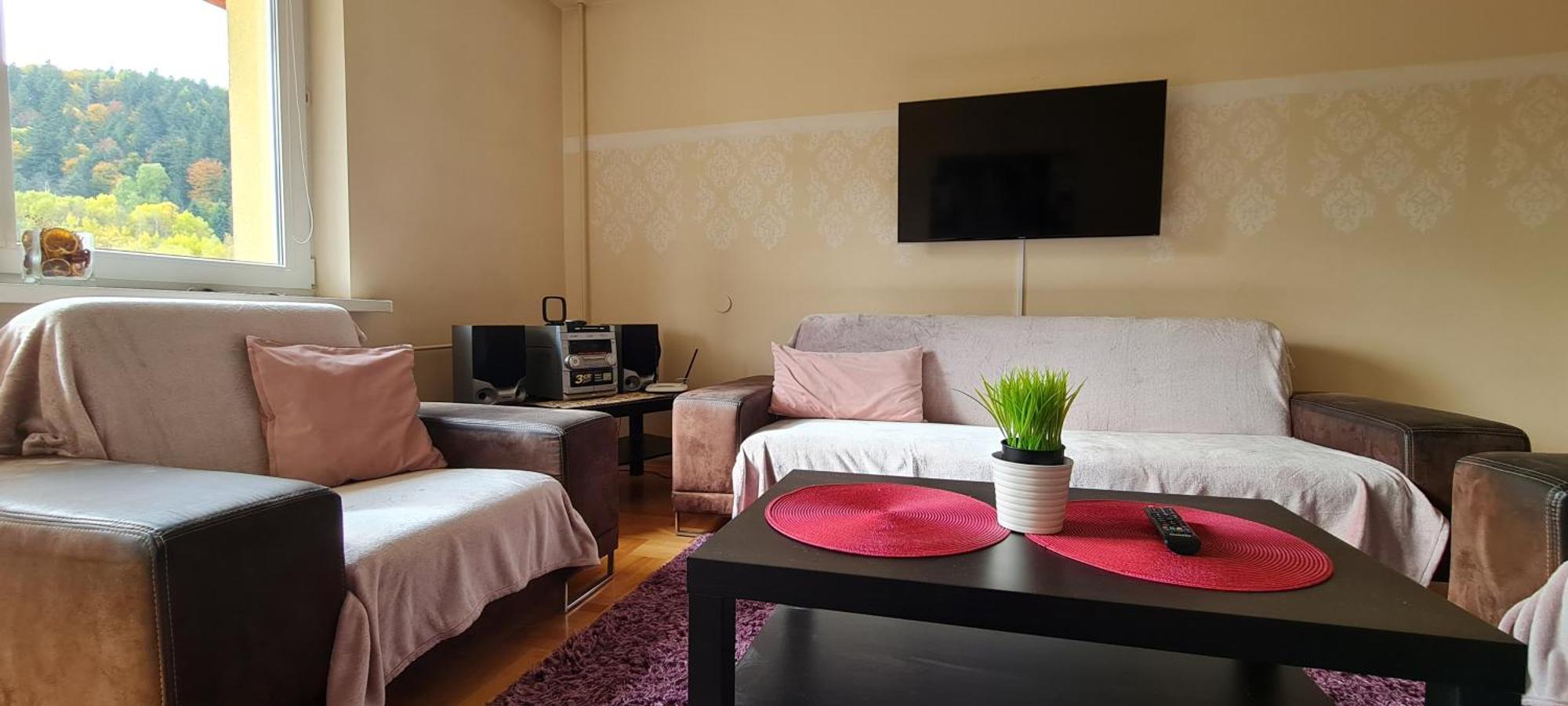 Apartament Czarny Potok クリニツァ・ズドルイ エクステリア 写真