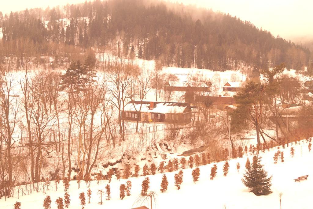 Apartament Czarny Potok クリニツァ・ズドルイ エクステリア 写真